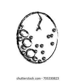 asteroid crack meteorite rock space orbiting