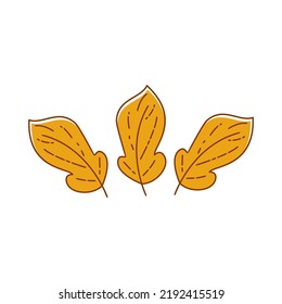 Asthetic Leaf With Outline Vector Design