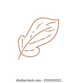 Asthetic Leaf With Outline Vector Design