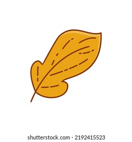 Asthetic Leaf With Outline Vector Design