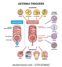 Diagrama de desencadeadores de asma mostra vias respiratórias saudáveis vs asmáticas com alérgenos e irritantes causando inchaço e muco, objetos-chave, seções transversais das vias respiratórias, pólen, fumaça. Diagrama de estrutura de tópicos