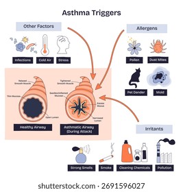 A visão geral dos desencadeadores de asma mostra estreitamento das vias respiratórias com principais culpados, pólen, fumaça, ácaros do pó, auxiliando na prevenção. Desenhar diagrama de estilo
