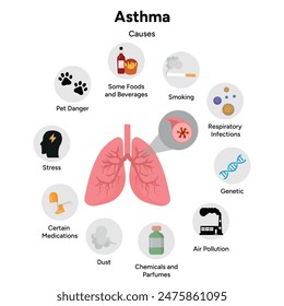 Problema de las vías respiratorias asmáticas y causas principales