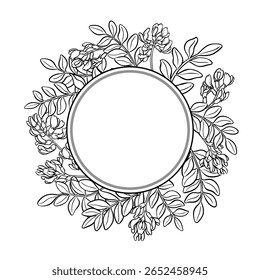 Astragalus Branch with Flowers and Leaves Outline Round Frame. Vector isolated for design or decoration.