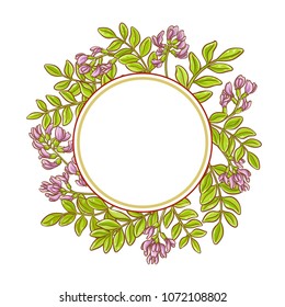 astragalus vector frame