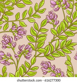 astragalus vector seamless  pattern on color background
