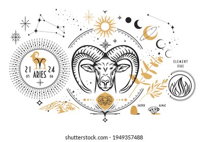 Astrological Sign Zodiac Aries Realistic Hand Stock Vector (Royalty ...