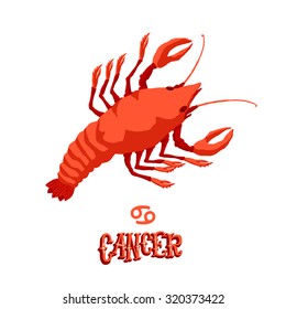 Astrological zodiac sign Cancer. Part of a set of horoscope signs. Isolated vector illustration on white background.