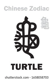 Astrology Alphabet: TURTLE / TORTOISE [龜] sign of Chinese Zodiac. Also: Black Tortoise ("The Dark Warrior"), One of four Legendary intelligent beasts, Guardian of The North, supporting of The Earth.