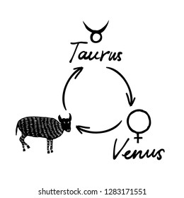 Astrology horoscope single zodiac symbol with sign Taurus, Venus illustration picture and written planet symbol name. Vector. 