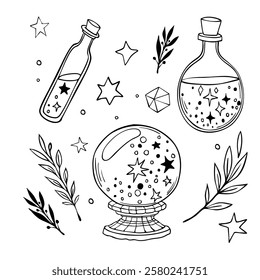 Astrology set with ancient magic bottles and herbs. Line art. Black and white sketch. Vector illustration.