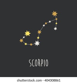 astrology sign scorpio vector illustration