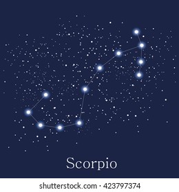 astrology sign scorpio vector illustration