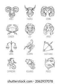 Astrology signs, zodiac outline simbols. Vector set illustration