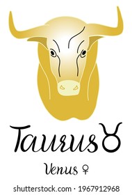 Astrology Taurus zodiac sign. Realistic hand drawing bull head