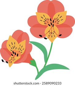 Astromeria clip art,Cute flower vector illustration