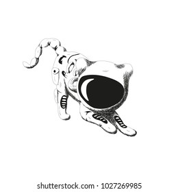 The astronaut was ready to jump. Without background. Isolated. Vector drawing.
