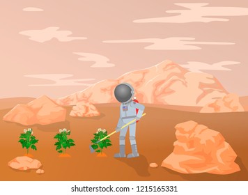 Astronaut spud potatoes growing on Mars. Cartoon vector illustration. Flat design style.