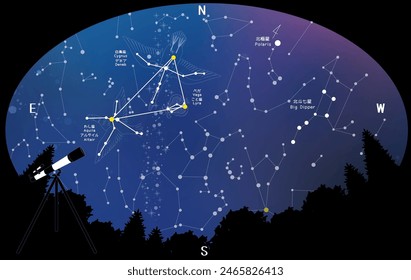 Astronomical observation. 　
Summer constellations and the Summer Triangle seen from the forest.