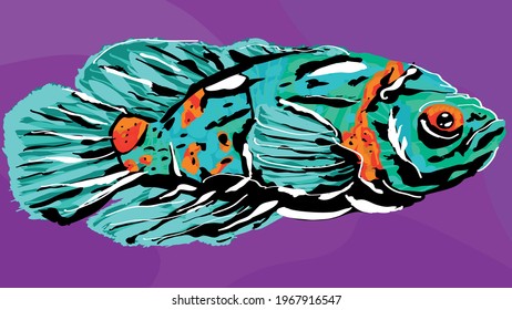 Astronotus aquarium predatory fish drawn in a futuristic style. Bright stylish colors. Vector eps10.
