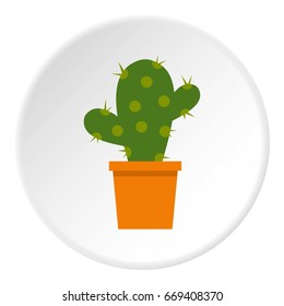 Astrophytum cactus icon in circle isolated on white vector illustration for web