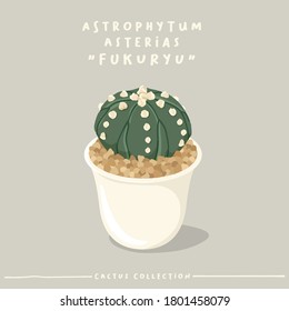 Astrophytum : Cactus type collection : Cactus in white small pot isolated on beige background : Vector Illustration