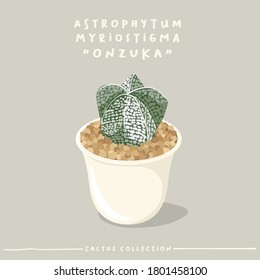 Astrophytum Myriostigma : Cactus type collection : Cactus in white small pot isolated on beige background : Vector Illustration