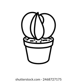 Astrophytum Myriostigma Isolated Icon, vector illustration