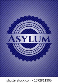 Asylum with denim texture. Vector Illustration. Detailed.