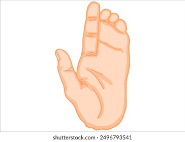 Asymmetric Palms and Feet vector