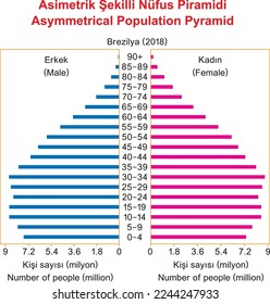 Asymmetric Shaped Population Pyramid, Brazil Population Pyramid