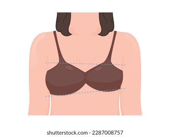 Asymmetric woman breast vector illustration