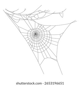 Asymmetrical Spider Web Isolated on White Background – Hand Drawn Illustration
