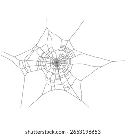 Asymmetrical Spider Web Isolated on White Background – Hand Drawn Illustration