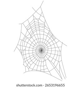 Web asimétrico de la araña aislado en el fondo blanco – ilustración dibujada a mano