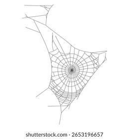 Asymmetrical Spider Web Isolated on White Background – Hand Drawn Illustration