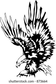 Atacking Eagle - vehicle graphic. Ready for vinyl cutting. Check my portfolio for many more images.