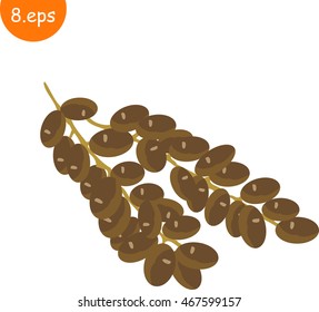 ate fruit dry date fruit isolated. Cartoon vector icon  in flat style 