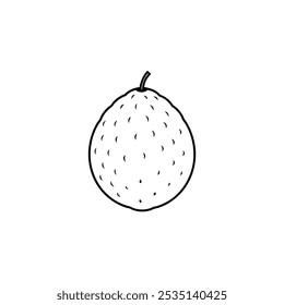 Atemoya Fruit ilustração vetor plana sobre fundo branco