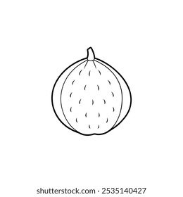Atemoya Fruit flat vector illustration on white background
