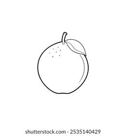 Atemoya Frucht, flache Vektorgrafik auf weißem Hintergrund