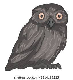 Athene noctua owl clipart in cartoon style. Realistic colored drawing of nocturnal bird wild animal. Vector illustration isolated on white background.