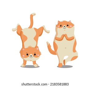 Athlete cats. Red kittens do yoga exercises. Sports for animals. Happy pets go in for sports, gymnastics. Vector illustration on a white isolated background.