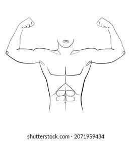 264 Male muscle torso line drawing Images, Stock Photos & Vectors ...