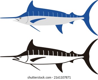 Atlantic blue marlin fish, vector illustration