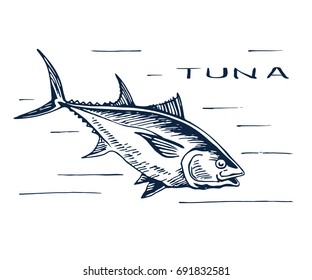 Atlantic bluefin tuna. Endangered species of marine fish. Sirloin meat for sushi. Hand drawn vector sketch.