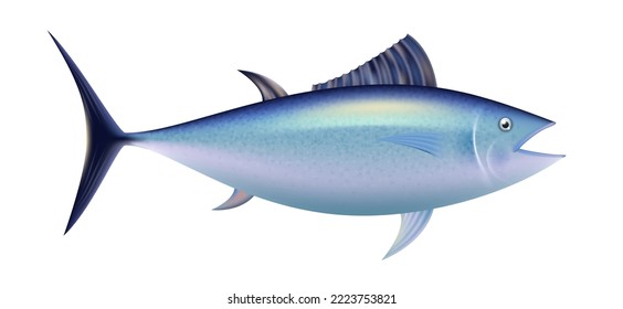 Atún de aleta azul del Atlántico, pescado marino realista aislado de fondo blanco. 3d atún entero para emblema de restaurante, menú, ingrediente de cocina. Vida silvestre marina o oceánica. Ilustración del vector