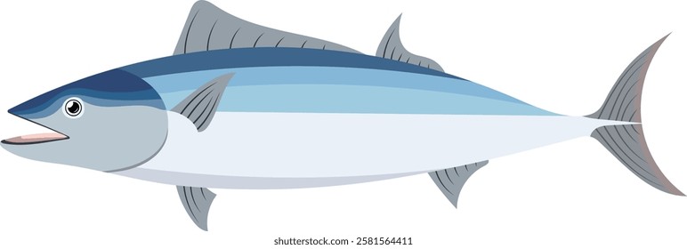 Atlantic Bonito Tuna Fish Illustration Isolated on White Background	