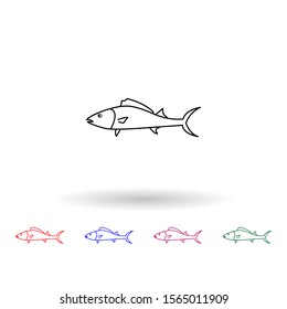 Atlantic bontio multi color icon. Simple thin line, outline vector of fish icons for ui and ux, website or mobile application