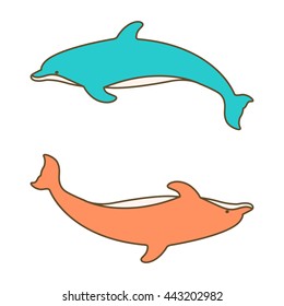 Atlantic bottlenose dolphins. Vector illustration. Isolated on a white background.